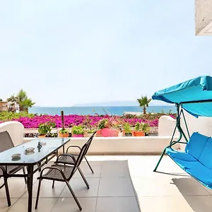 book here